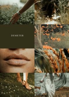 a collage of photos with the words demeter written in white and orange on it