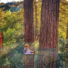 a young boy sitting on top of a net in the middle of a tree filled forest