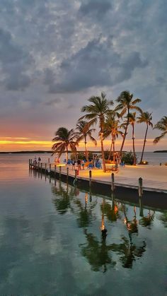 palm trees are reflected in the water as people walk on the dock at sunset or dawn