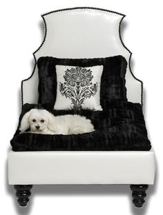 a white dog laying on top of a black and white bed