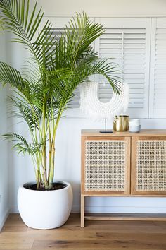 a potted plant sitting on top of a wooden table next to a white cabinet