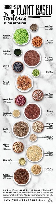 Proteins Chart, Natural Meals, Plant Based Foods, Makanan Diet, Wild Rice, Diet Keto