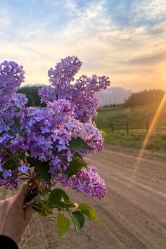 a person holding a bouquet of purple flowers in front of a dirt road at sunset