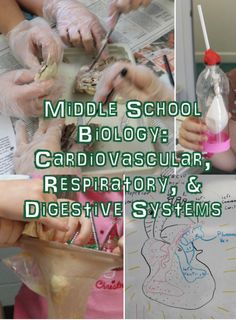 the collage shows pictures of children making crafts and writing on paper, with text that reads middle school biology cardiovacular, resprotory & digestive systems