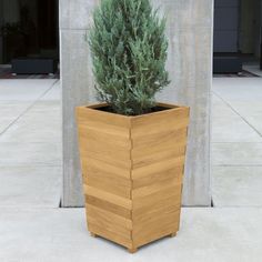 a wooden planter with a small tree in it