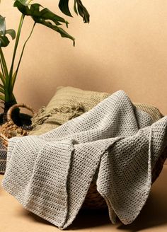 a basket with a blanket on it next to a potted plant