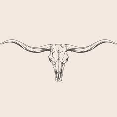 an animal skull with long horns drawn in black and white on a beige background illustration