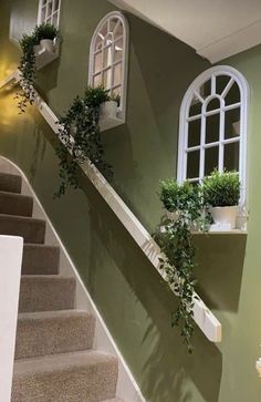 the stairs are decorated with potted plants and window boxes on each side, along with two planters