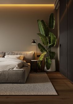 a bedroom with a large bed and a plant in the corner next to it on top of a wooden floor