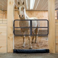 a white horse standing inside of a stable