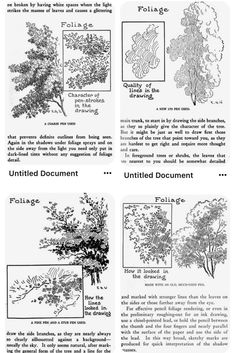 four different types of trees in black and white, with the words united document written below them