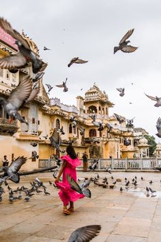 a woman in a pink dress is surrounded by birds on the ground and buildings behind her