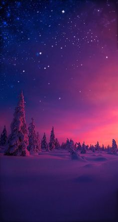 snow covered trees under a purple sky with stars