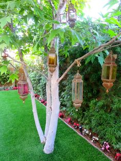 an outdoor area with green grass, trees and lanterns hanging from the tree branch in front of it