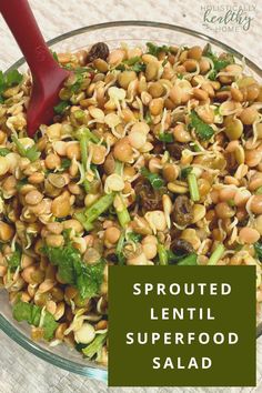 sprouted lentil superfood salad in a glass bowl with a red spoon