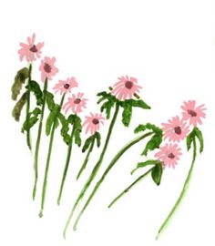 some pink flowers are in the middle of green stems on a white background with watercolor