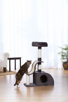 a cat standing on top of a scratching post in the middle of a living room