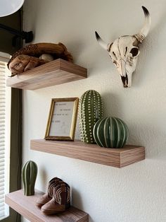 three wooden shelves with different types of items on them and a cow skull mounted to the wall