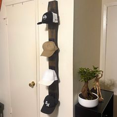 a hat rack with hats hanging on it next to a potted plant and door