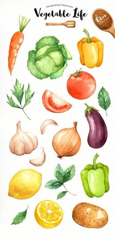 a watercolor drawing of vegetables and fruits with the words vegetable life written below it