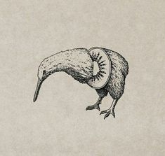 a drawing of a kiwi bird with its beak open