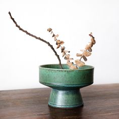 a small green bowl with some branches in it