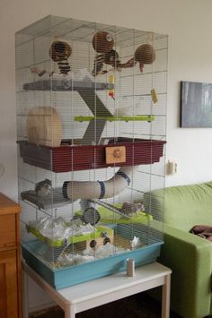 a living room with a green couch and a large bird cage on top of it