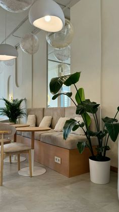 a living room filled with lots of furniture next to a potted plant on top of a wooden table