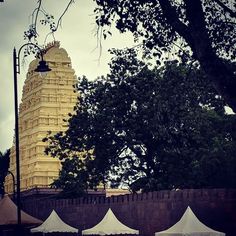 tents set up in front of a tall building