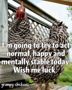 Animal Sayings, Morning Jokes, Funny Morning, Aging Humor, Blonde Jokes, Funny Day Quotes, Good Morning Funny Pictures, Not My Circus, Animal Humour