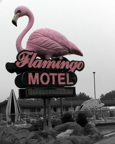 a flamingo motel sign is shown in black and white