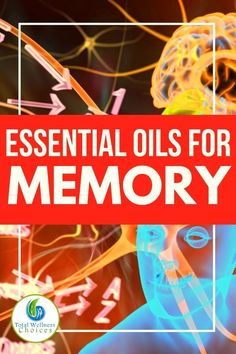 Discover the best essential oils for memory improvement, focus and brain functions. Learn how to improve memory, focus and brain functions with essential oils and find out the best essential oils to use. #increasememory #improvememory #brain #brainfunctions #memoryretention #focus #concentration #essentialoils #essentialoilsformemory Essential Oils For Memory, Memory Improvement, Young Living Oils, Doterra Oils, Best Essential Oils, Improve Memory