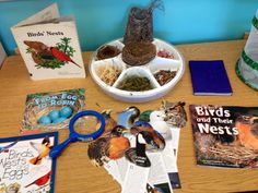 birds and their nests are displayed on a table with books, magazines, and scissors