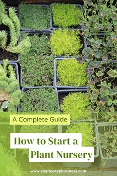 the complete guide to start a plant nursery