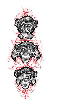 three monkeys with different shapes and sizes