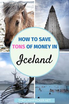 iceland with the words how to save tons of money in iceland and pictures of animals