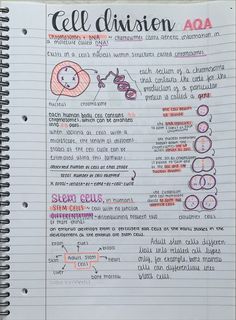 an open notebook with writing and doodles on the pages, containing information about cell division