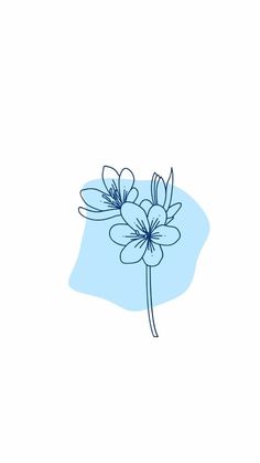 a blue flower on a white background