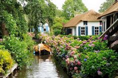 a boat traveling down a river next to lush green trees and flowers in front of houses