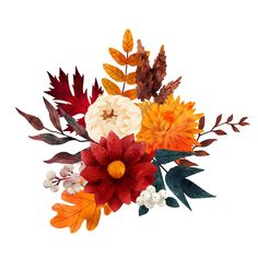 an arrangement of flowers and leaves on a white background