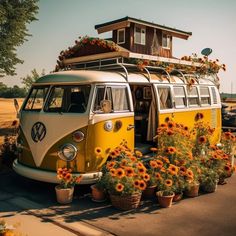 a yellow and white bus parked in front of a building with sunflowers growing on it