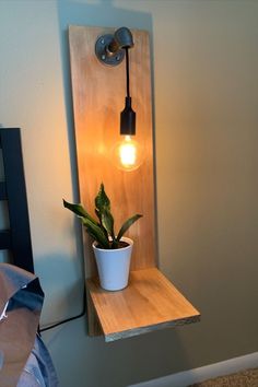 a potted plant sitting on top of a wooden shelf next to a wall light