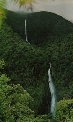 an aerial view of a waterfall in the middle of a green mountain with trees on both sides