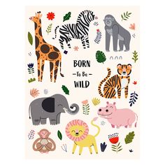 a poster with animals and plants on it's side, says born to be wild