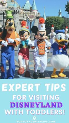 disney world with the words expert tips for visiting disneyland with toddlers in front of them