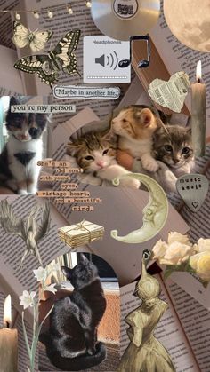 collage of cats laying on top of each other in front of books and candles