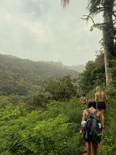 three people walking up a trail in the jungle