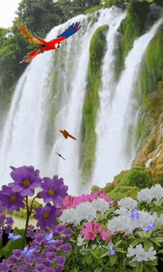 colorful flowers and birds in front of a waterfall