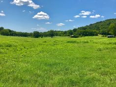 a large open field with trees in the background