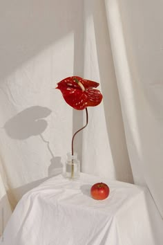 an apple sits on a table next to a vase with a flower in it and a shadow from the wall behind it